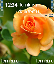 Цветок для Nokia 6630