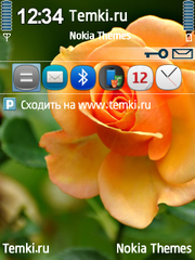 Цветок для Nokia E73 Mode