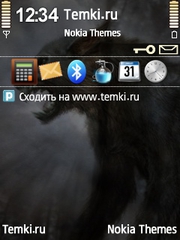 Оборотень для Nokia N79