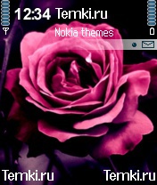 Розовая роза для Nokia N70