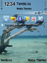 Жители Белиза для Nokia X5-00