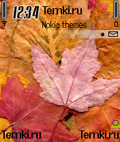 Скриншот №1 для темы Яркие листья