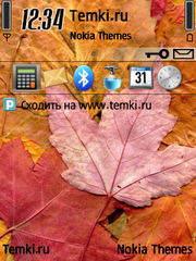 Яркие листья для Nokia 6790 Surge