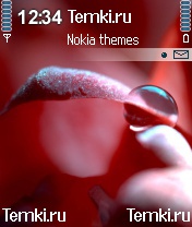 Магическая капля для Nokia N90