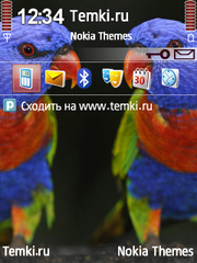 Попугайчики для Nokia E73 Mode