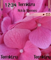 Скриншот №1 для темы Розовые Липестки