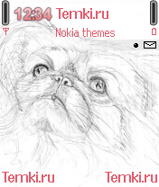 Пекинес для Nokia N70