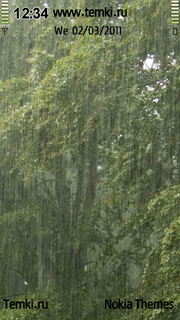 Дождь в лесу для Nokia N8-00