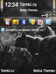 Кошечки для Nokia E73 Mode