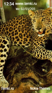 Леопард на ветвях для Nokia X6 8GB
