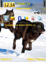 На бегу для Nokia N93i