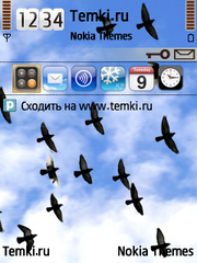 Стая птиц для Nokia E73 Mode