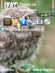 Птица для Nokia C5-01