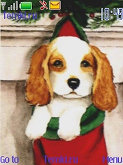 Рождественский щенок для Nokia Asha 306