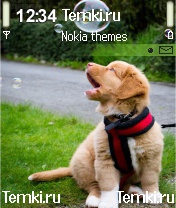 Игры для Nokia N90