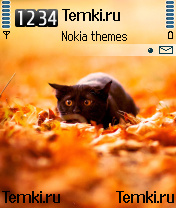 В засаде для Nokia N72