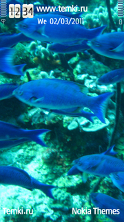 Синие рыбки для Sony Ericsson Idou