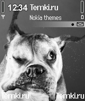 Бульдог для Nokia N70