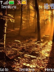 Солнце над лесом для Nokia 207
