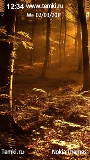 Скриншот №1 для темы Солнце над лесом