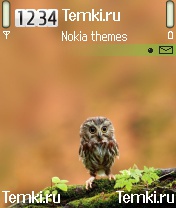 Совушка для Nokia N72