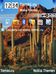 Скалы и кактусы для Nokia 6788