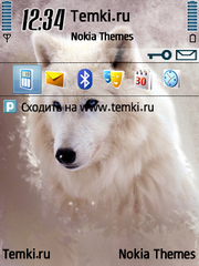 Белый Волк для Nokia 6210 Navigator