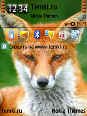 Лисичка для Nokia E73 Mode
