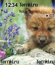 Волк для Nokia 6680