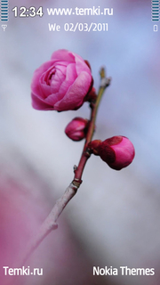 Розовый цветок для Nokia 5228