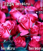 Бутоны Розы для Nokia N72