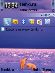 Два медведя для Nokia 5730 XpressMusic