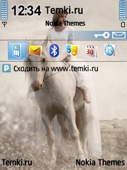 Девушка на белом коне для Nokia 6220 classic