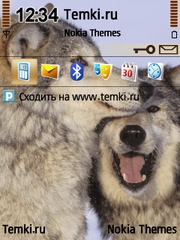 Улыбчивые звери для Nokia E73 Mode
