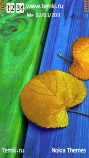 Листья на скамье