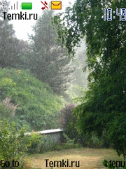 Дождливый парк для Nokia 3711