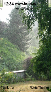 Дождливый парк