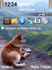 С вершины для Nokia N73