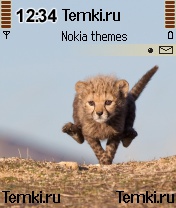 Самый быстрый для Nokia 7610
