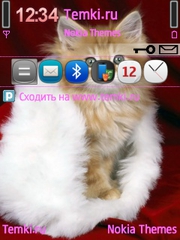 Котеночек для Nokia E5-00