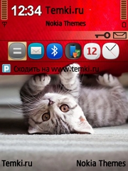 Котенок для Nokia E61