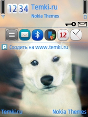 Собака для Nokia E52