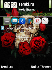 Череп и Розы для Nokia E73 Mode