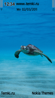 Глазастая черепаха для Sony Ericsson Kurara