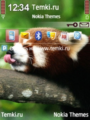 Малая панда для Nokia 6760 Slide