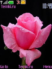 Розовая Роза для Nokia 7210 Supernova