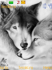 Влюблённые волки для Nokia 5130 XpressMusic