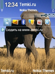 Mr Слон для Nokia E73 Mode