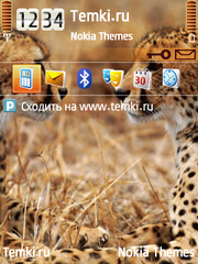 Два леопарда для Nokia 5730 XpressMusic