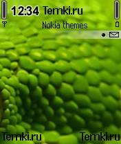 Змеиная кожа для Nokia 6638